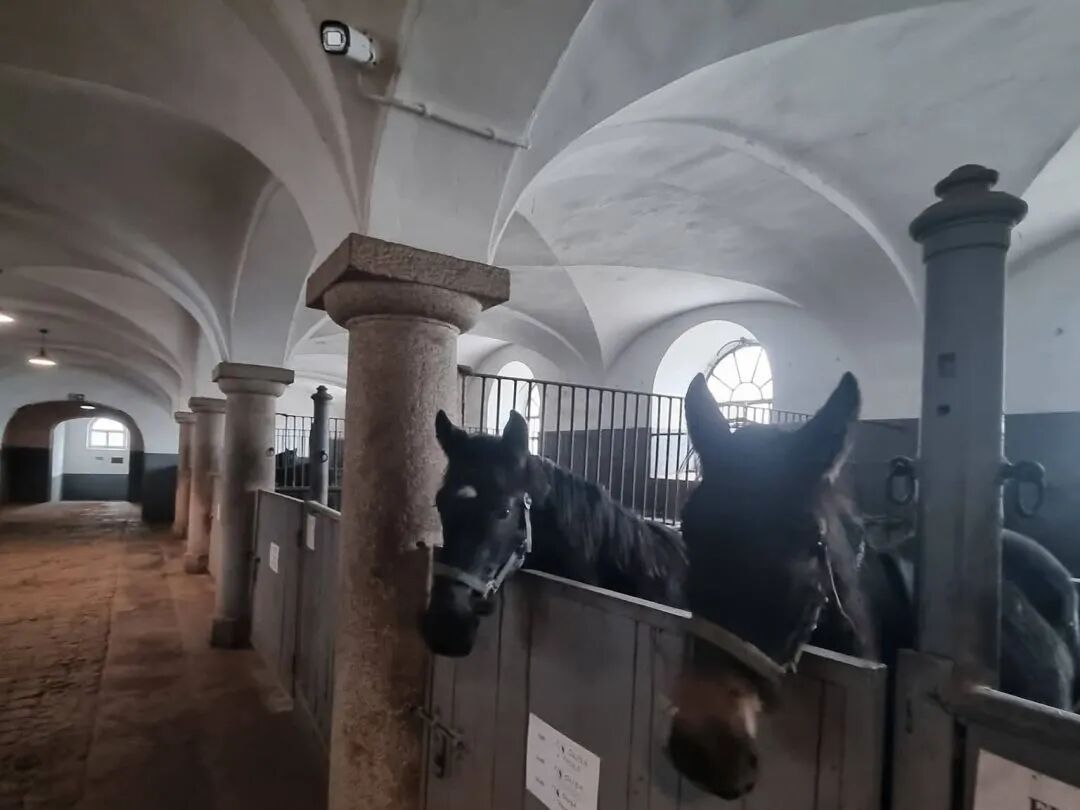 123